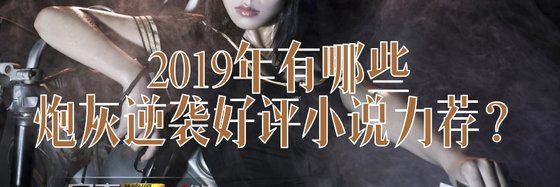 2019年有哪些炮灰逆袭好评小说力荐？